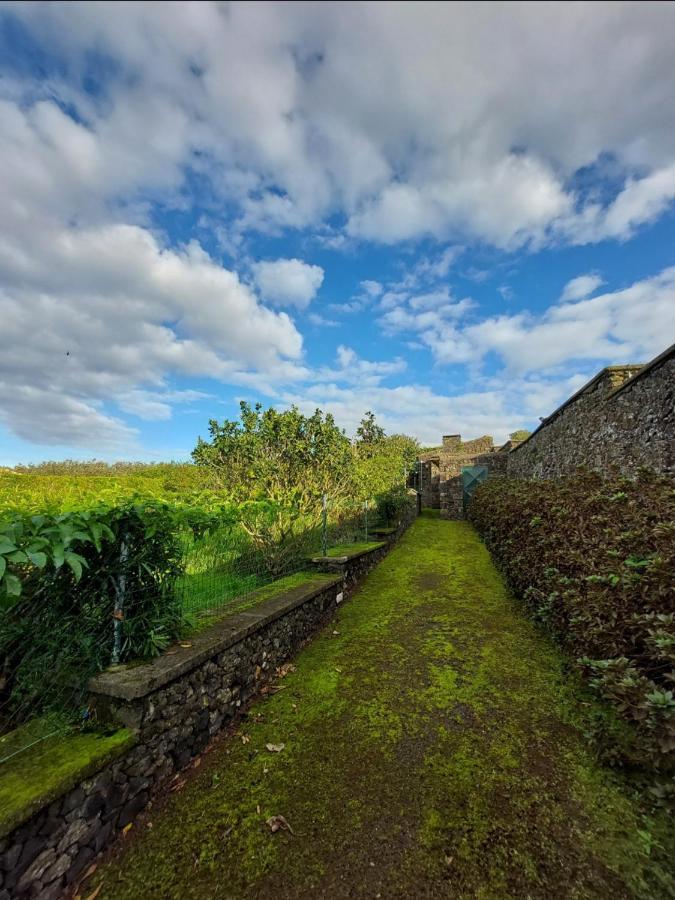 Quinta Do Sossego-Giestas Villa ฮิเบย์รา กรันเจ ภายนอก รูปภาพ